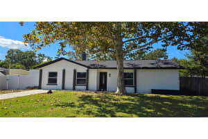 3206 LAS BRISAS DRIVE, RIVERVIEW, FL 33578 - MLS#MFRTB8439944
