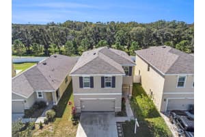 10023 MERRY FAWN COURT, SUN CITY CENTER, FL 33573 - MLS#MFRTB8439986