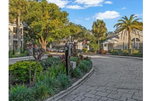 3321 HAVILAND COURT, PALM HARBOR, FL 34684 - MLS#MFRTB8440029