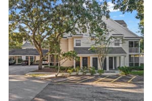 3321 HAVILAND COURT, PALM HARBOR, FL 34684 - MLS#MFRTB8440029