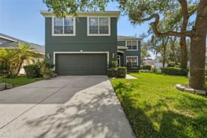 7310 BRIGHTWATER OAKS DRIVE, TAMPA, FL 33625 - MLS#MFRTB8440047