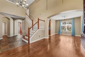 7310 BRIGHTWATER OAKS DRIVE, TAMPA, FL 33625 - MLS#MFRTB8440047