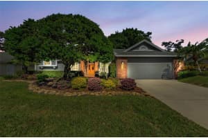 3569 ERMINE PATH, PALM HARBOR, FL 34684 - MLS#MFRTB8440067