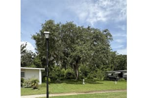 29129 JOHNSTON ROAD, DADE CITY, FL 33523 - MLS#MFRTB8440100