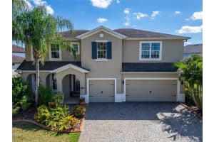 11525 LAKE LUCAYA DRIVE, RIVERVIEW, FL 33579 - MLS#MFRTB8440110