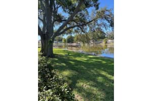 3823 N Oak Dr #k41, TAMPA