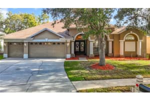 5105 Lady Rose Ct, LUTZ