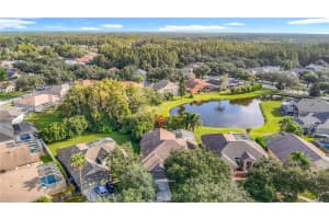 5105 LADY ROSE COURT, LUTZ, FL 33558 - MLS#MFRTB8440141