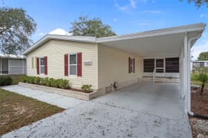 14227 ADAIR STREET, BROOKSVILLE, FL 34613 - MLS#MFRTB8440163