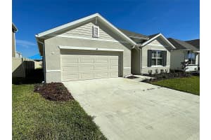 9036 FORGE BREEZE LOOP, WESLEY CHAPEL, FL 33545 - MLS#MFRTB8440176