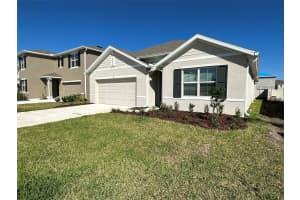 9036 FORGE BREEZE LOOP, WESLEY CHAPEL, FL 33545 - MLS#MFRTB8440176