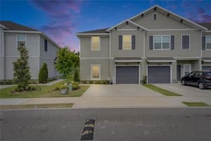 9665 SWEETWELL PLACE, RIVERVIEW, FL 33569 - MLS#MFRTB8440184