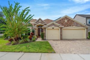 19361 YELLOW CLOVER DRIVE, TAMPA, FL 33647 - MLS#MFRTB8440224