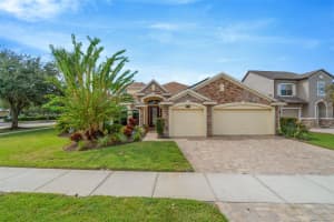 19361 YELLOW CLOVER DRIVE, TAMPA, FL 33647 - MLS#MFRTB8440224