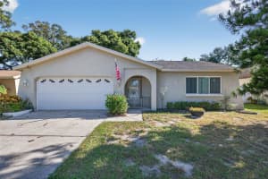 1993 CITRUS HILL ROAD, PALM HARBOR, FL 34683 - MLS#MFRTB8440237