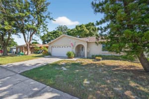 1993 CITRUS HILL ROAD, PALM HARBOR, FL 34683 - MLS#MFRTB8440237