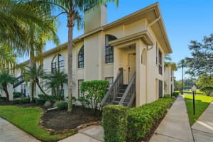 3350 MERMOOR DRIVE, PALM HARBOR, FL 34685 - MLS#MFRTB8440301