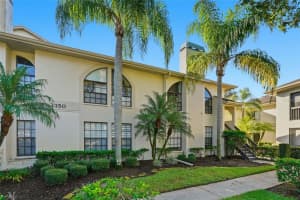 3350 MERMOOR DRIVE, PALM HARBOR, FL 34685 - MLS#MFRTB8440301
