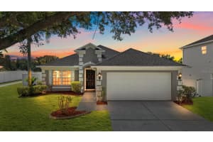 2801 Queen Alberta Dr, VALRICO 2801 Queen Alberta Dr, VALRICO