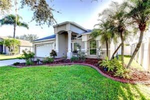 204 BAY ARBOR BOULEVARD, OLDSMAR, FL 34677 - MLS#MFRTB8440310