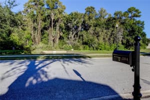 204 BAY ARBOR BOULEVARD, OLDSMAR, FL 34677 - MLS#MFRTB8440310