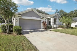 1804 PRAIRIE GRASS LANE, VALRICO, FL 33594 - MLS#MFRTB8440317