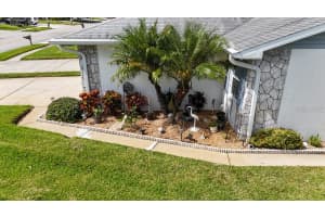 3273 MCMATH DRIVE, PALM HARBOR, FL 34684 - MLS#MFRTB8440323