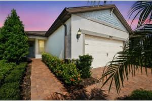 19437 SHIP WHEEL WAY, LAND O LAKES, FL 34638 - MLS#MFRTB8440339