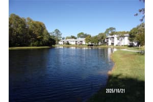 1345 PINE RIDGE CIRCLE, TARPON SPRINGS, FL 34688 - MLS#MFRTB8440350
