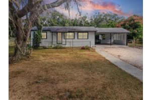 10703 WILLIAMS ROAD, THONOTOSASSA, FL 33592 - MLS#MFRTB8440352