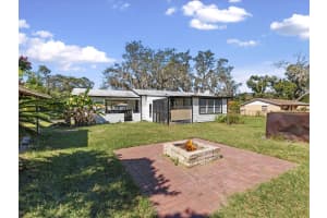 10703 WILLIAMS ROAD, THONOTOSASSA, FL 33592 - MLS#MFRTB8440352