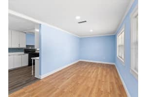 10703 WILLIAMS ROAD, THONOTOSASSA, FL 33592 - MLS#MFRTB8440352