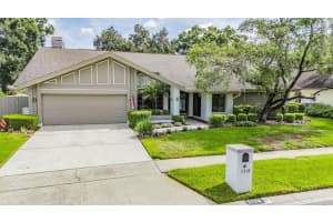 1718 Magdalene Manor Dr, TAMPA