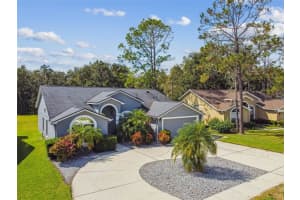 5543 Foxtail Ct, WESLEY CHAPEL