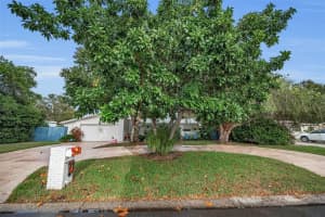 1479 EVERGREEN AVENUE, CLEARWATER, FL 33756 - MLS#MFRTB8440386