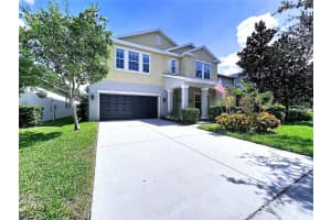 14256 BLUE DASHER DRIVE, RIVERVIEW, FL 33569 - MLS#MFRTB8440394