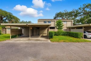 8632 CATTAIL DRIVE, TEMPLE TERRACE, FL 33637 - MLS#MFRTB8440401