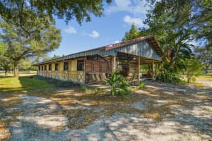 12714 TYLER RUN AVENUE, ODESSA, FL 33556 - MLS#MFRTB8440409