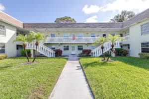1250 PINELLAS AVENUE, TARPON SPRINGS, FL 34689 - MLS#MFRTB8440432
