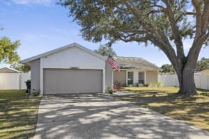 6502 Ranger Dr, TAMPA