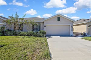 18184 TURNING LEAF CIRCLE, LAND O LAKES, FL 34638 - MLS#MFRTB8440494