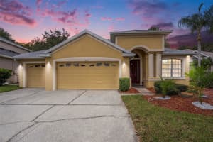 10711 Pearl Berry Loop, LAND O LAKES