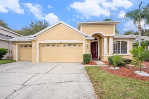 10711 PEARL BERRY LOOP, LAND O LAKES, FL 34638 - MLS#MFRTB8440515