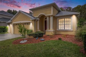 10711 PEARL BERRY LOOP, LAND O LAKES, FL 34638 - MLS#MFRTB8440515