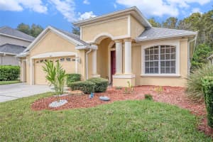 10711 PEARL BERRY LOOP, LAND O LAKES, FL 34638 - MLS#MFRTB8440515