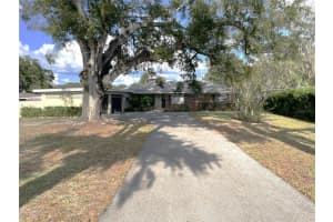 11505 ROME AVENUE, TAMPA, FL 33612 - MLS#MFRTB8440535
