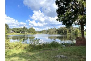11505 ROME AVENUE, TAMPA, FL 33612 - MLS#MFRTB8440535