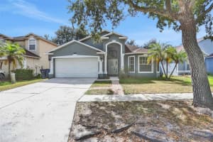9047 Egret Cove Cir, RIVERVIEW 9047 Egret Cove Cir, RIVERVIEW