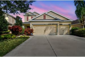 33181 Shadow Branch Lane, WESLEY CHAPEL