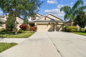 33181 SHADOW BRANCH LANE, WESLEY CHAPEL, FL 33545 - MLS#MFRTB8440538